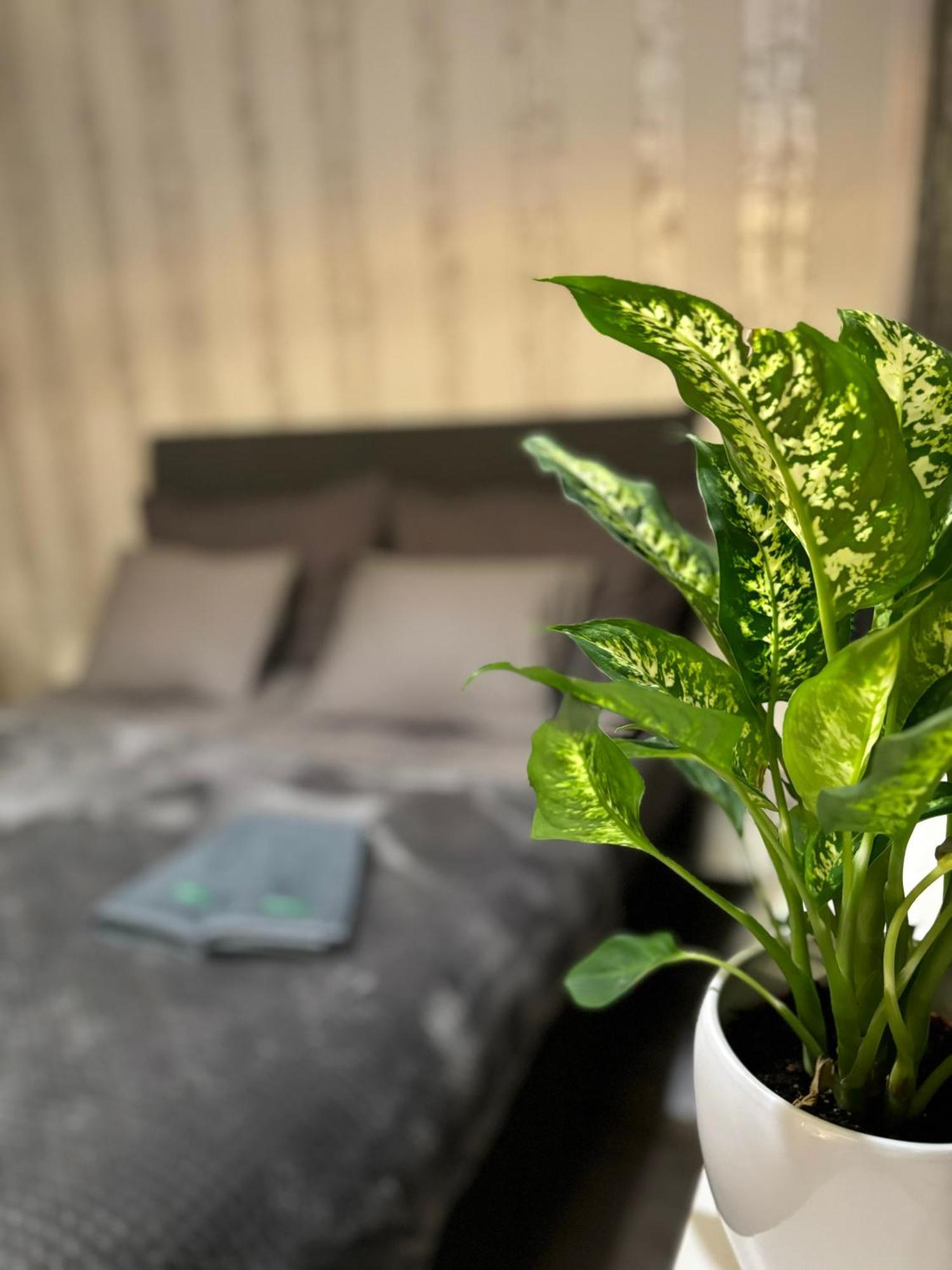 רובניימי Vartiomaja - Beautiful Apartment Near Arktikum מראה חיצוני תמונה